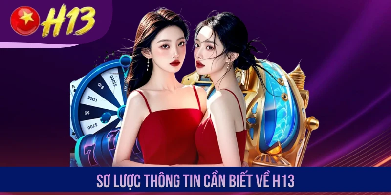 Sơ lược thông tin cần biết về H13